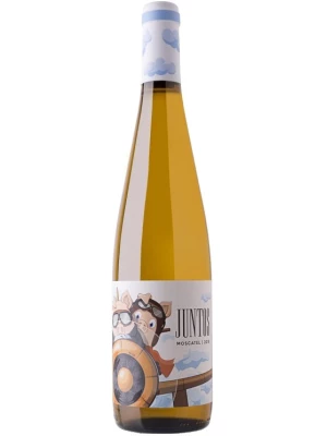 Вино Bodegas Volver, Juntos Moscatel de Grano Menudo 0.75 л