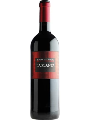 Вино Arzuaga Navarro, La Planta 2020, 0.75 л