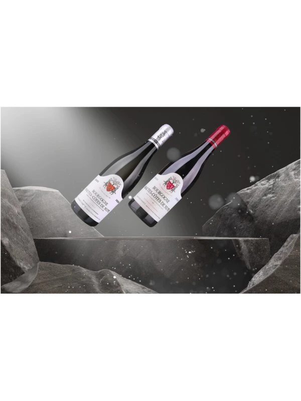 Domaine Geantet-Pansiot, Bourgogne Hautes-Cotes de Nuits AOC