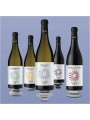 Valdo, Pinot Grigio i Magredi, Friuli Grave DOC — фото 2