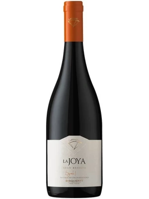 Вино Bisquertt, La Joya Gran Reserva Syrah, Colchagua Valley DO 2019, 0.75 л