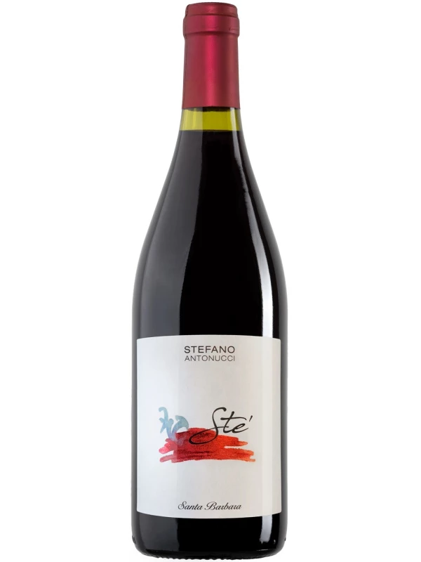Santa Barbara, Ste Rosso Piceno DOC