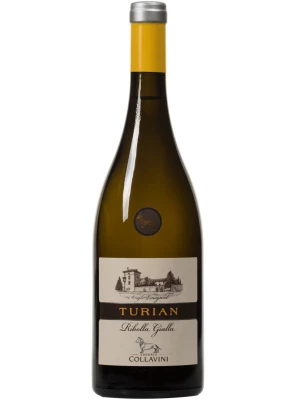 Вино Eugenio Collavini, Turian Ribolla Gialla, Colli Orientali del Friuli DOC 2019, 0.75 л