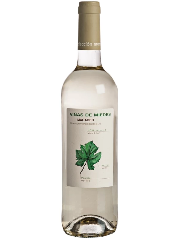 Bodegas San Alejandro, Vinas de Miedes Blanco, Calatayud DO