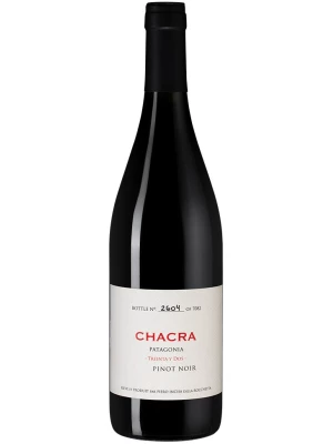 Вино Chacra, Treinta y Dos 2019, 0.75 л