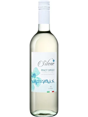 Вино Silene Pinot Grigio, Terre di Chieti IGT 2021, 0.75 л