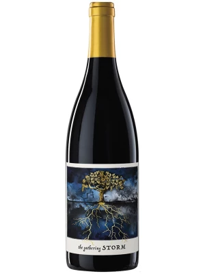 Вино Felix Solis, The Gathering Storm Red 2023, 0.75 л