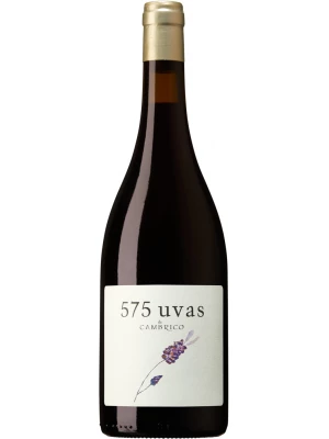 Вино Cambrico, 575 Uvas de Cambrico, Sierra de Salamanca DOP 2017, 0.75 л