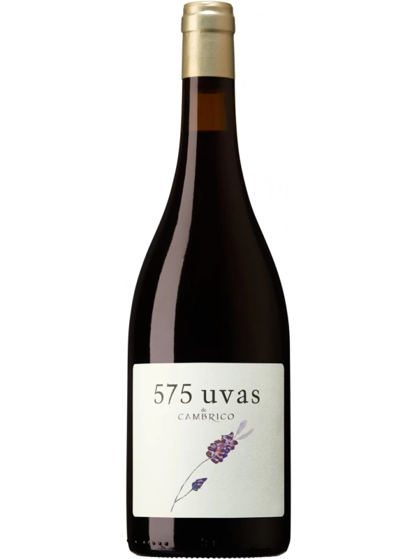 Cambrico, 575 Uvas de Cambrico, Sierra de Salamanca DOP