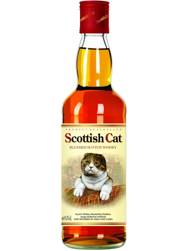 Scottish Cat