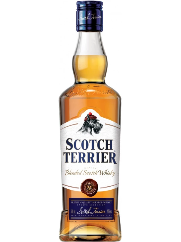 Scotch Terrier Blended