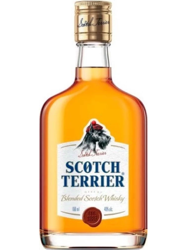 Scotch Terrier Blended