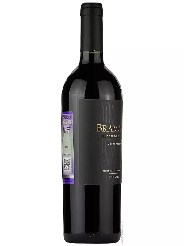 Vina Cobos, Bramare Malbec, Lujan de Cuyo