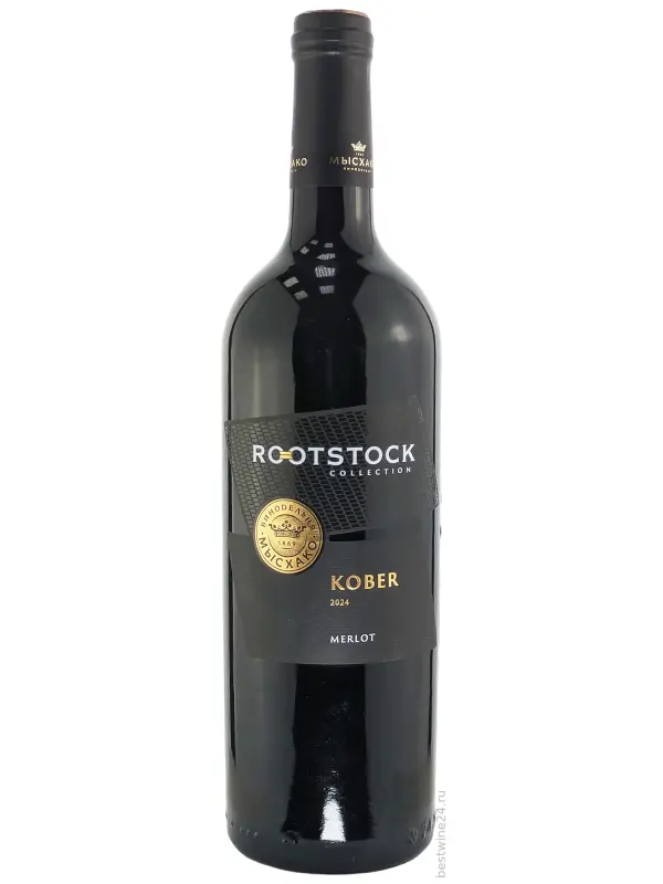 Myskhako, Rootstock Kober Merlot